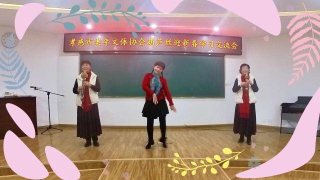 孝感老年文体协会胡芦丝迎新春学习交流会~胡芦丝大、小D合奏幺妺