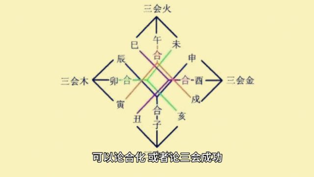 坤造:丙午、戊戌、辛亥、甲午#易学智慧 #命理八字