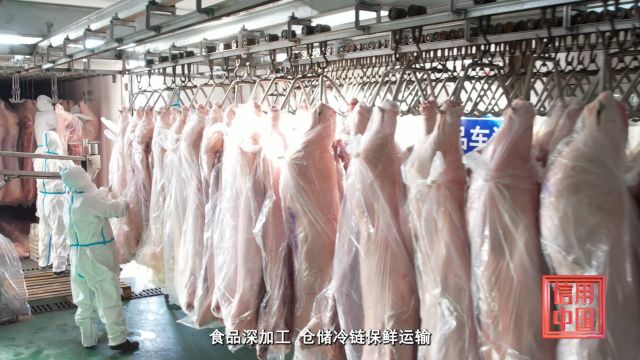 《信用中国》新疆伦辉食品有限公司漆家红专访:放心肉品 筑就品质产业链