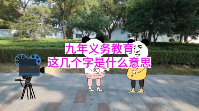 九年义务教育,这几个字是什么意思?