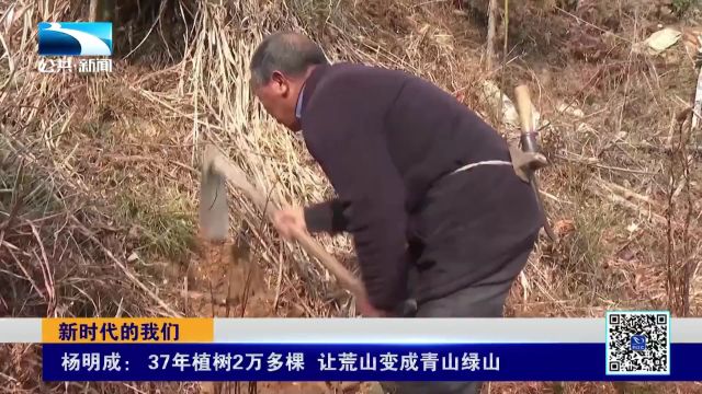 新时代的我们|杨明成:37年植树2万多棵 让荒山变成青山绿山