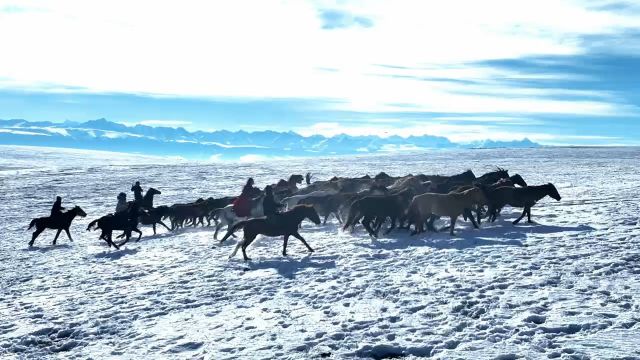 天马踏雪 体验速度与激情