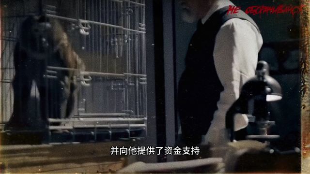 前苏联的人“猿”杂交实验,竟有五名女性自愿参与,结果成功了吗?(1)