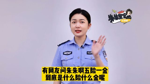 五险一金包括什么险什么金?