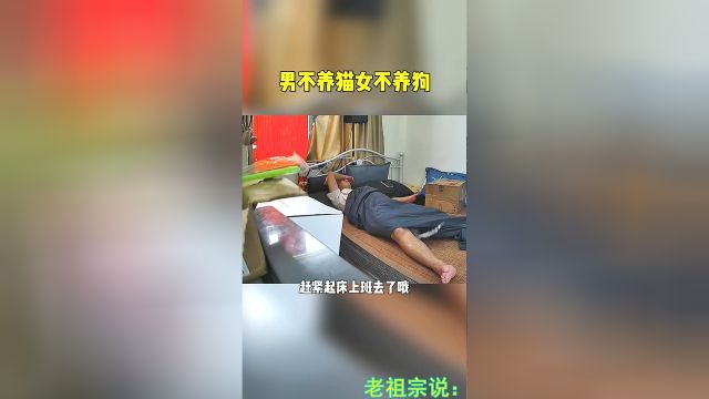 老祖宗说:男不养猫,女不养狗……