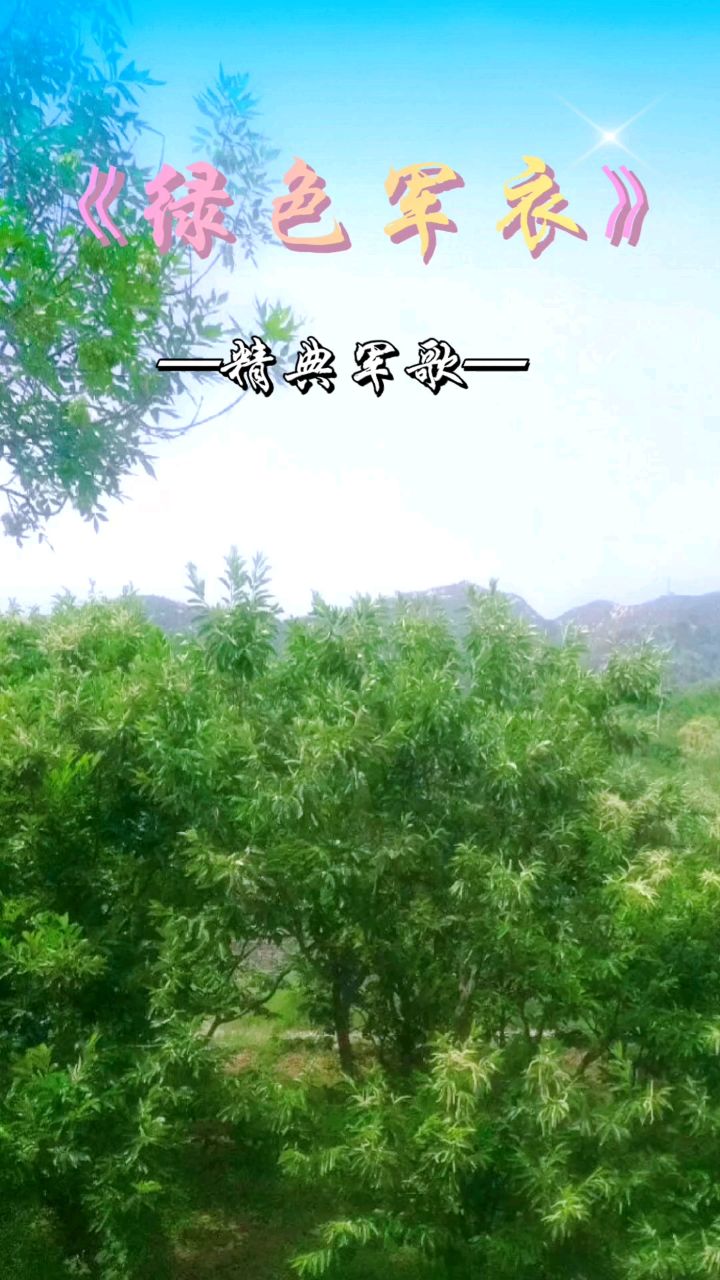 军歌:《绿色军衣》