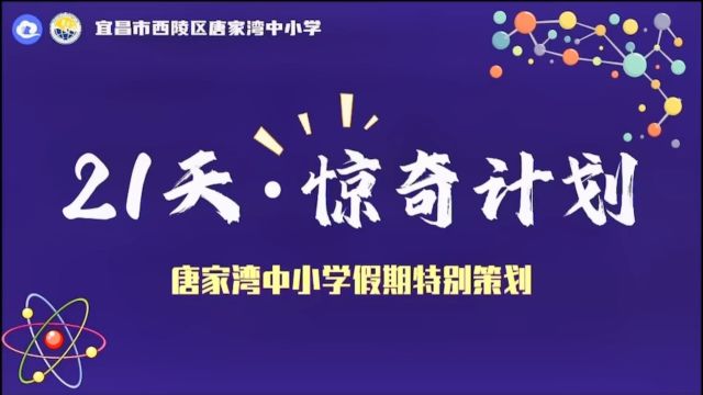 西陵区唐家湾中小学107班陈云浩的惊奇计划.