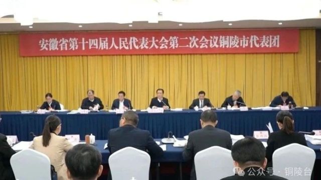 【直通省“两会”】省十四届人大二次会议铜陵代表团审议省人大常委会和省“两院”工作报告 酝酿候选人名单草案等