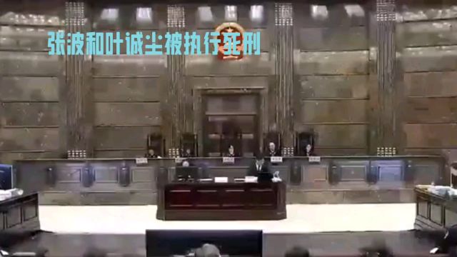 从巅峰到终点:张波和叶诚尘的生命轨迹回顾