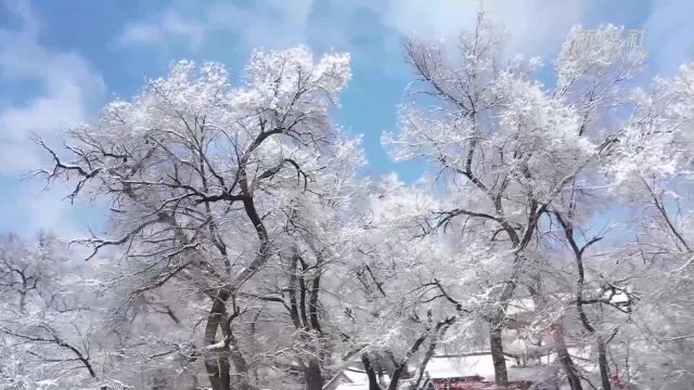 吉林通化:玉皇山景区银装素裹