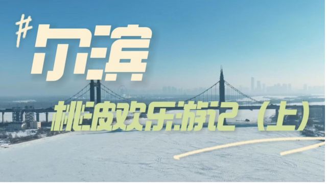 杭州美女+创维汽车,波哥的尔滨游记(上)