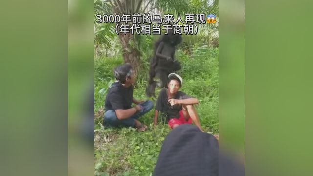 原始马来人的祖先被发现在印度尼西亚的原始森林里 他就是曼特人