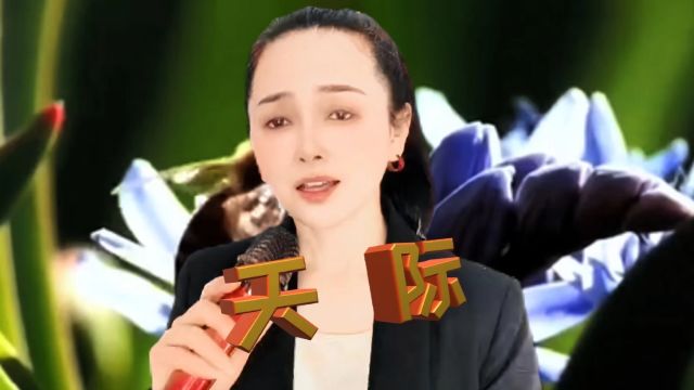 伤感歌曲《天际》旋律优美,歌声触人心弦,感人肺腑