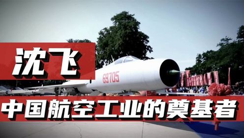 沈阳飞机制造厂，为何是中国航空工业奠基人？沈飞诞生背后的历史