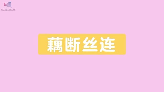 藕断丝连