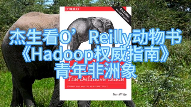 杰生看动物书010《Hadoop权威指南》青年#非洲象#动物世界