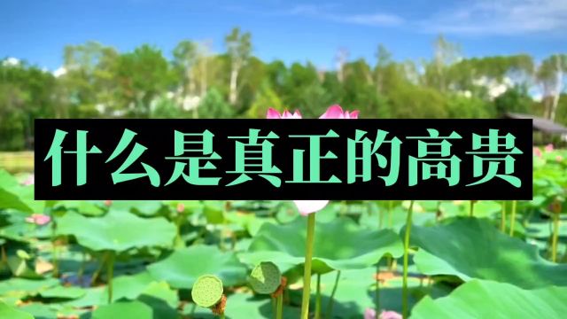 潜能训练导师杨海涛:什么是真正的高贵?