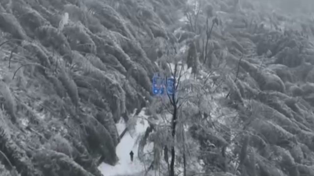 湖北咸宁:降雪致山区公路中断,各部门合力除冰抢险