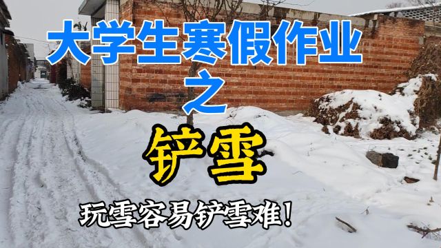 河南大学生寒假作业之铲雪:都知道下雪美但是不知道铲雪多艰难!