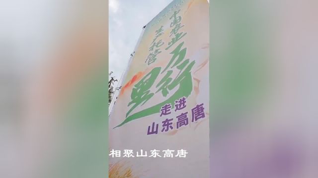 全国瞩目!中国农业生产托管万里行走进山东高唐15日圆满举办!