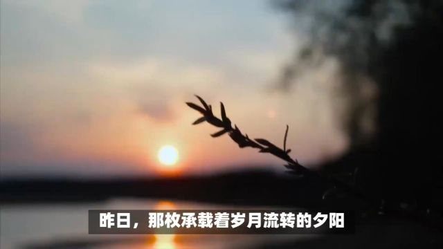 时光流转,珍惜当下,迎接新曙光