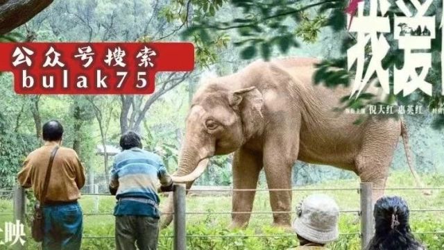 2023年度最热门高清未删减的十部华语电影