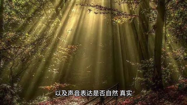 张弛声音变现情境分析中的要领