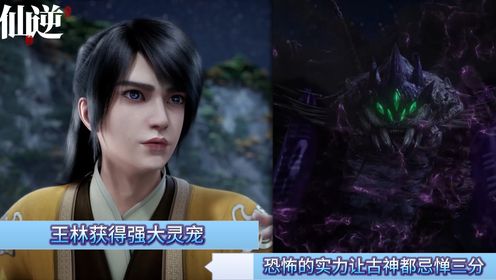 仙逆原著解读二十章:王林获得强大灵宠,恐怖的实力让古神都忌惮三分.mp4_动漫_高清完整版视频在线观看_腾讯视频