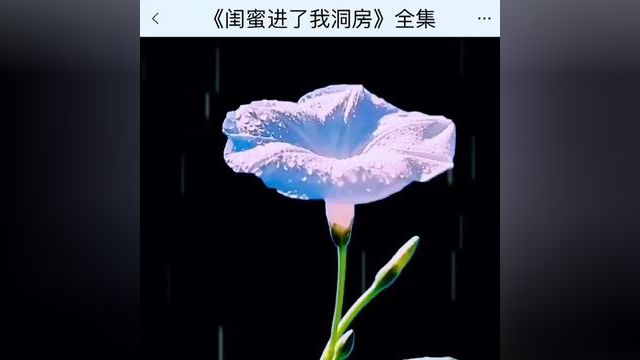 《闺蜜进了我洞房》点击下方查看后续精彩内容