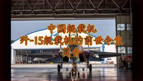 中国舰载机歼-15舰载机的前世今生
        歼15舰载机由中国航空工业沈阳飞机设计研究所（简称601所）和中国航空工业沈阳飞机工业有限公司设计并制造。