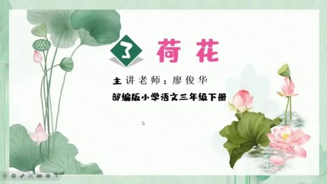 06 荷花 解析课文