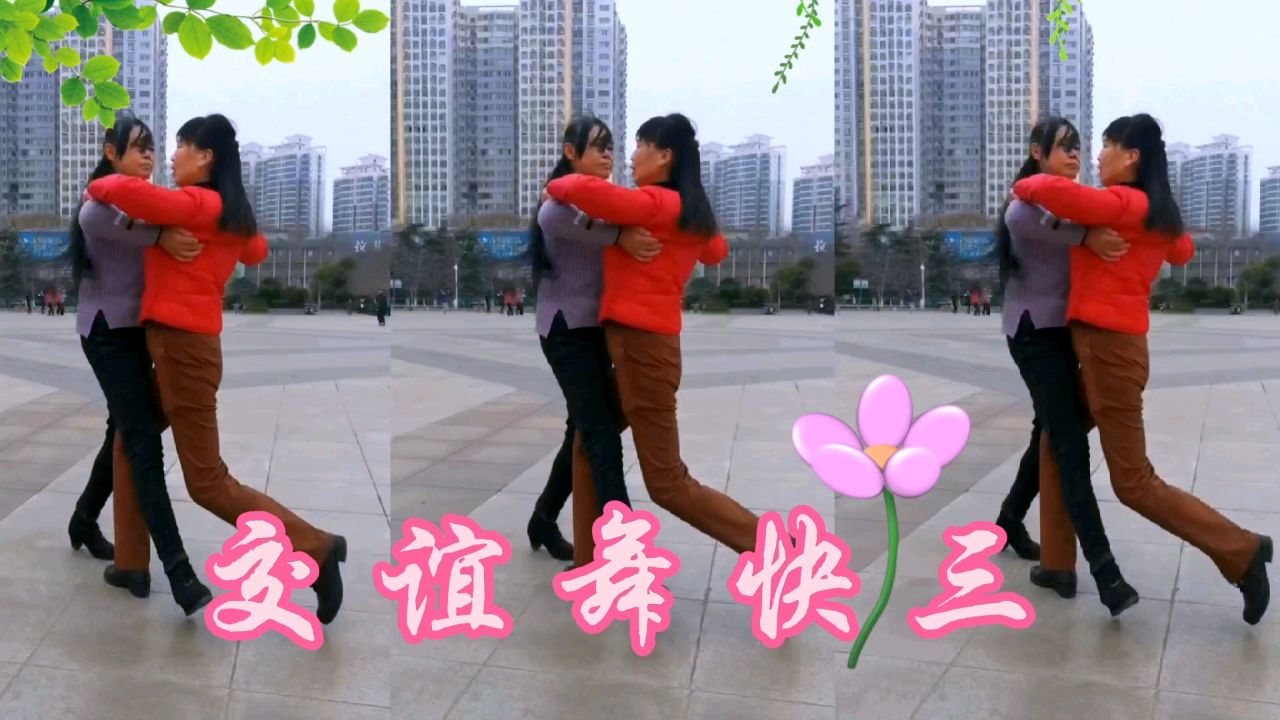 广场交谊舞快三《春风吹》