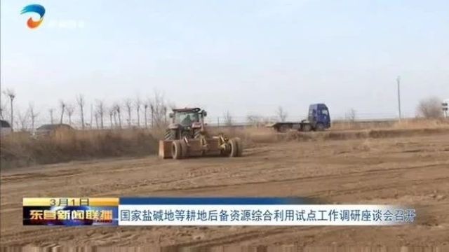 国家盐碱地等耕地后备资源综合利用试点工作调研座谈会召开