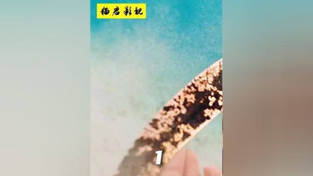 465. 《碧海追踪》男人在海底意外捡到一把古老的黄金匕首