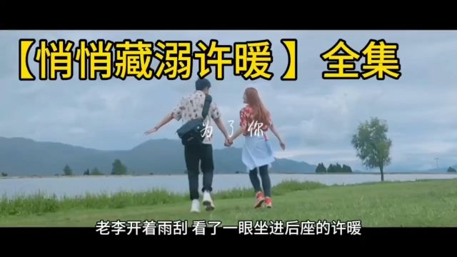 《悄悄藏溺》许暖&沈逸尘(全文TXT阅读)无删减版