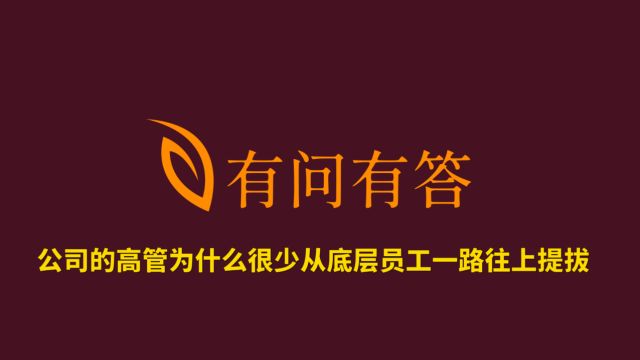 82公司的高管为什么很少从底层员工一路往上提拔