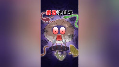 后宫催命符——麝香,真的如此丧心病狂吗?_高清1080P在线观看平台_腾讯视频