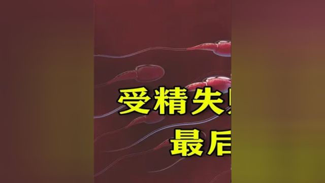 精子暗战,亿万精兵只有一个成功,失败的精子去哪了?上 #科普一下 #上热门 #硬核知识局 #生命诞生的过程