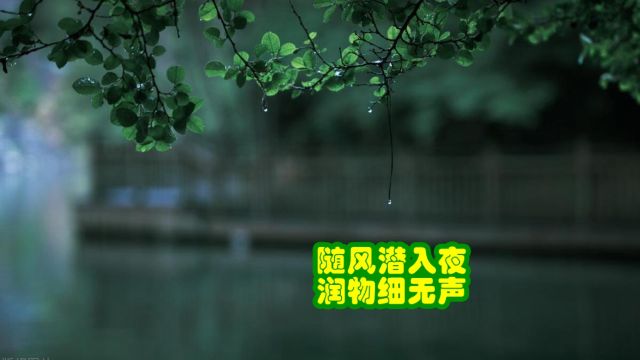 品鉴唐诗 随风潜入夜 润物细无声 杜甫 《春夜喜雨》