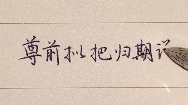 每日练字:尊前拟把归期说