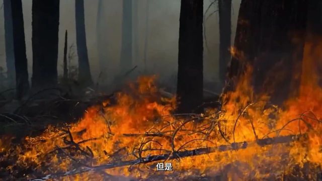 大理市:强化食品安全监管 筑牢食品安全防线