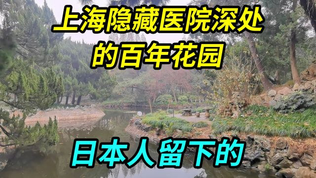 上海隐藏在医院深处的百年花园,日本人留下的,市民为何很少去