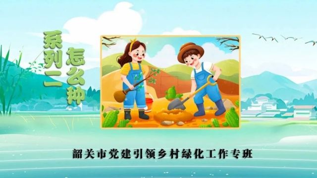 聚焦乡村绿化 │ 3个动画短视频告诉你如何科学种树