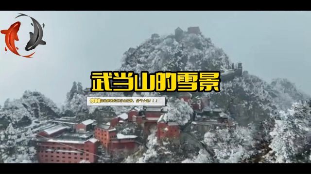 银装素裹的雪景,朦朦胧胧的神秘感!神圣感!!宛如一幅仙气十足的水墨画!!! #美景 #武当山 #武当山雪景 #武当 #印象武当 #武当山 #武当山金顶