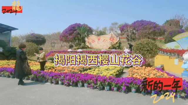 揭阳揭西樱山花谷,我喜欢花,我来看花