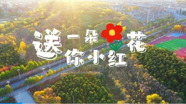 学习强国省平台刊发| 送你一朵小红花