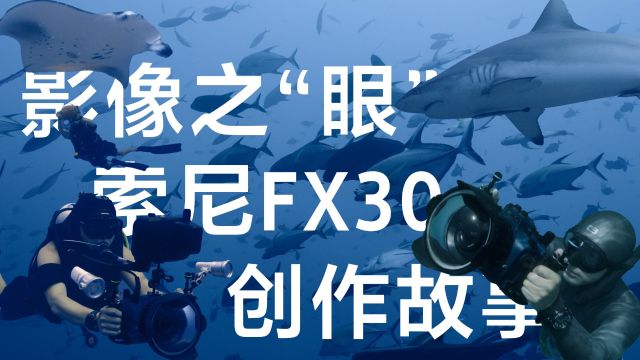 记录深海的影像之眼丨索尼FX30