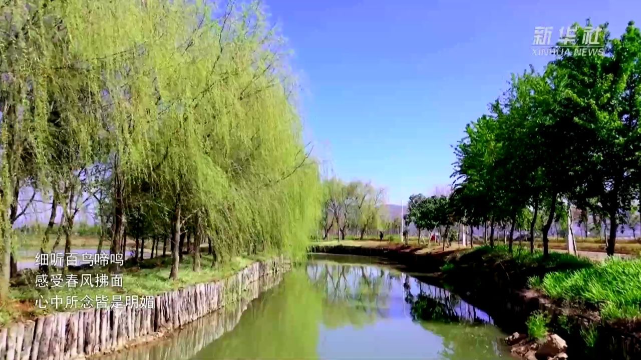 千城胜景|玉溪江川:一湖春色醉芬芳