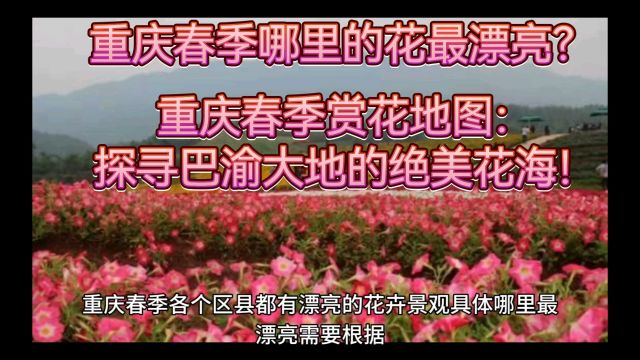 重庆春季哪里的花最漂亮?重庆春季赏花地图:探寻巴渝大地的绝美花海!