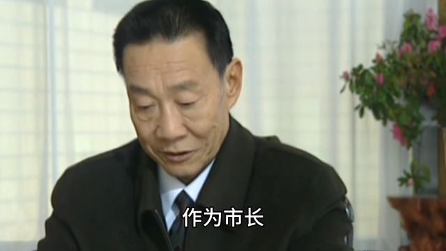 市长罗成上任仅仅一个月,却被列举出九大罪